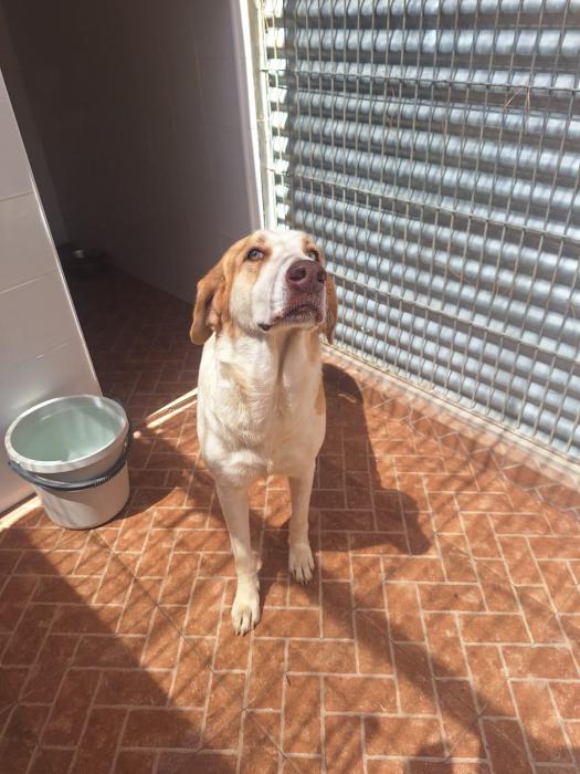 Fiona