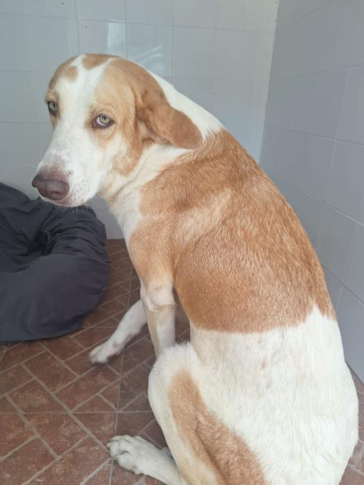 Fiona