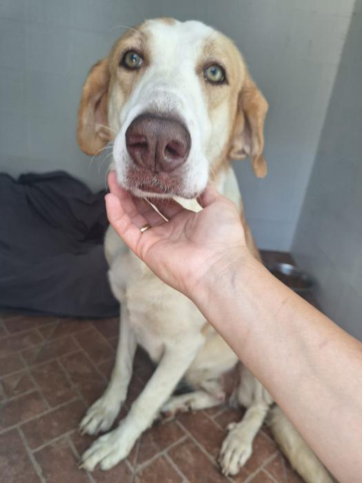 Fiona