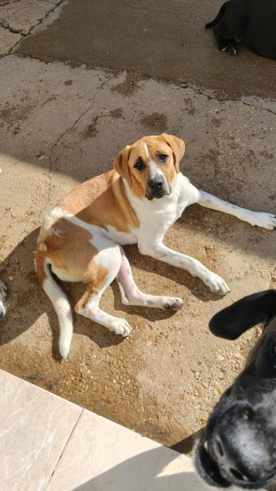 CHITA