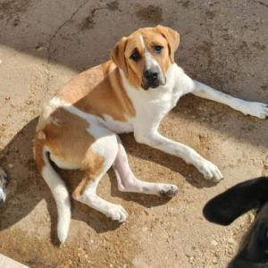 CHITA