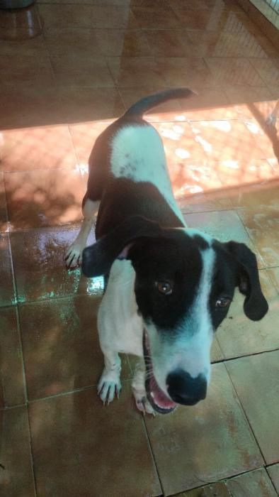 Cloe