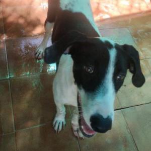 Cloe