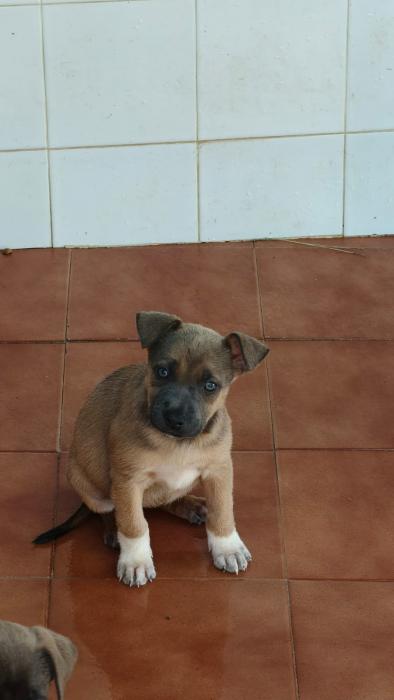 KALY