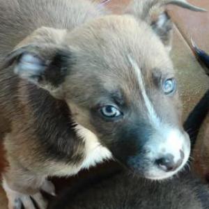 KELLY