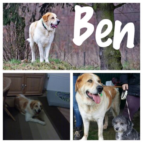 Ben