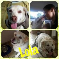 Lola