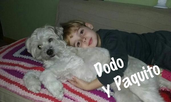 Dodo