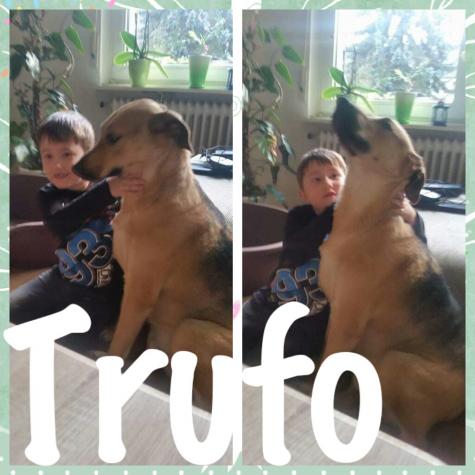 Trufo