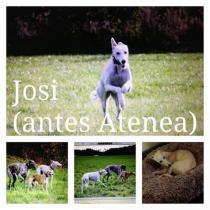 ATENEA (JOSIE)