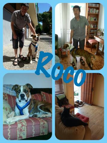 Roco