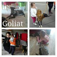 GOLIAT