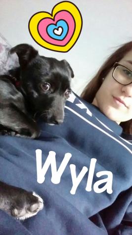 WYLA