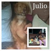 JULIO