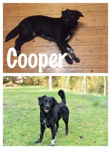 COOPER