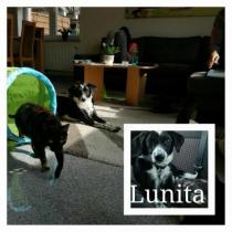 LUNITA