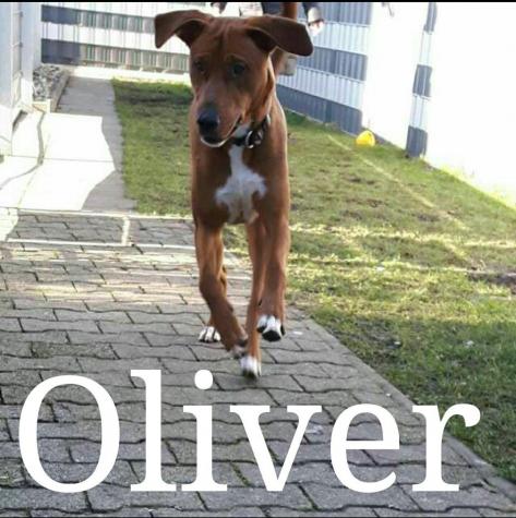 OLIVER