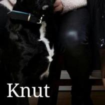 KNUT