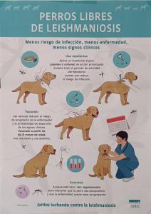 Leishmaniosis canina: una enfermedad grave que ya puede ser controlada.