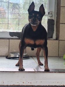 ESTRELLA SEMANAL: JUANMI