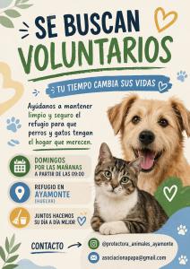 SE NECESITAN VOLUNTARIOS
