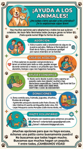 �C�mo ayudar a los animales? Elige tu forma de colaborar