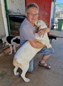 LA PRECIOSA SALLY EN ADOPCION!!!!