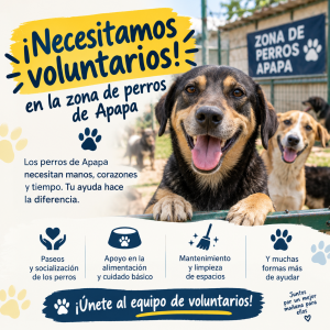 NECESITAMOS VOLUNTARIOS.