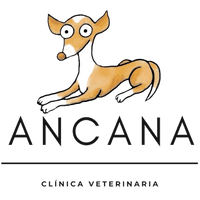 CLINICA VETERINARIA ANCANA